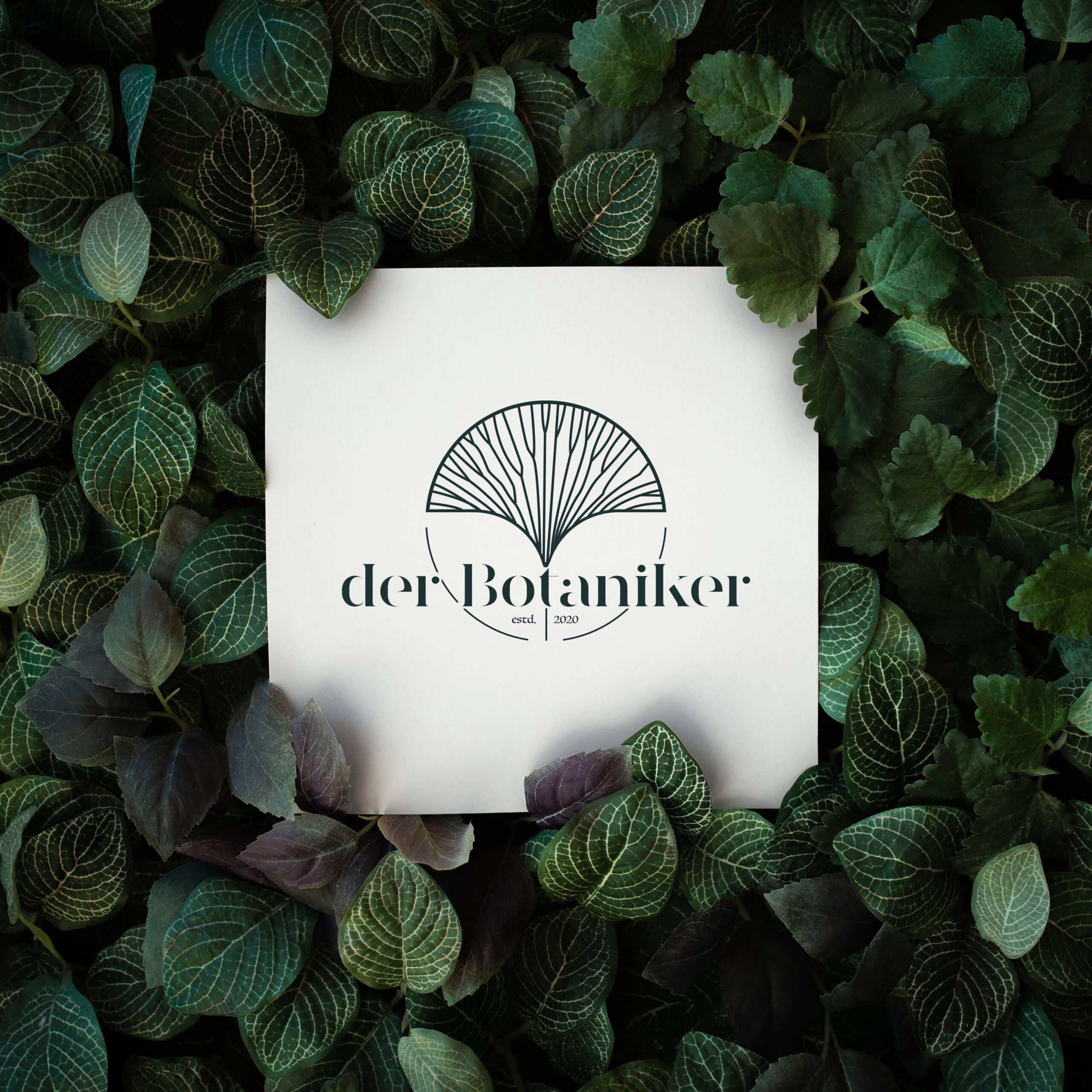 Markenlogo 'DerBotaniker' auf weißem Hintergrund, umgeben von grünen Pflanzenblättern, symbolisiert das natürliche und frische Image der Marke.