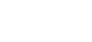 Goole Partner logo white